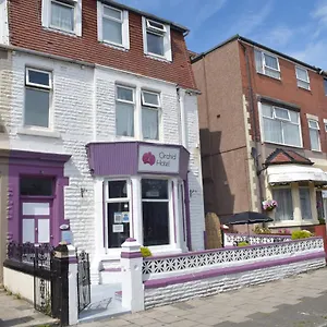 Myroomz Orchid Guest house Blackpool